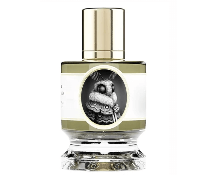 Розпив Moth Zoologist Perfumes 1мл